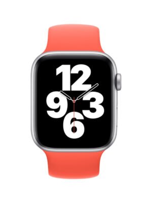 S2 44mm Smart Watch With Alexa