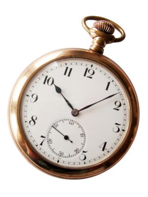 South Street Sport 36mm Watch
